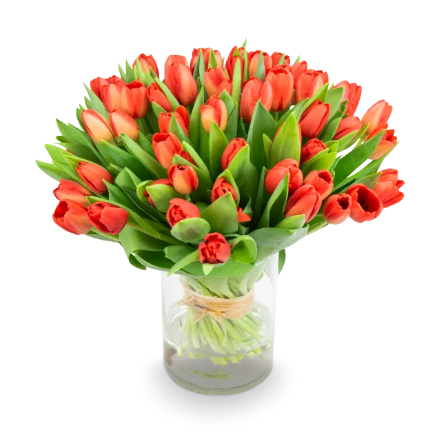 Kytice červených tulipánů